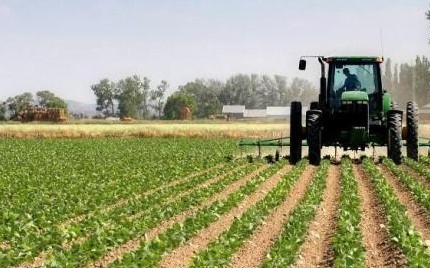 България изпраща в ЕС нарочна декларация с която официално иска