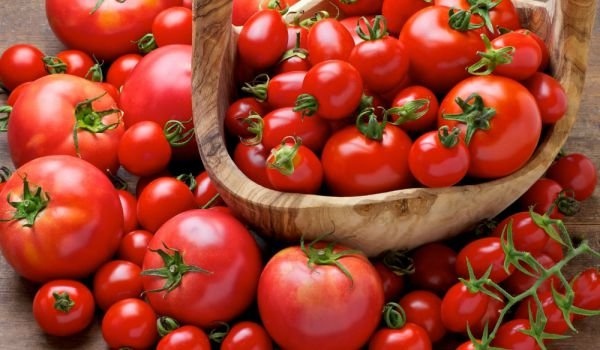 Турция премахна забраната за износ на домати предадоха медиите в