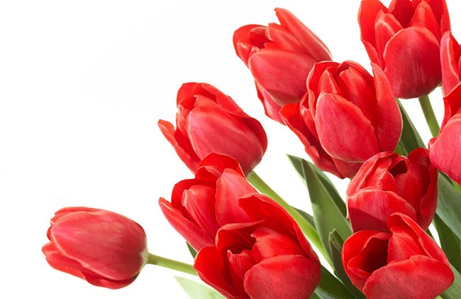 Международният ден на жената се празнува всяка година на 8