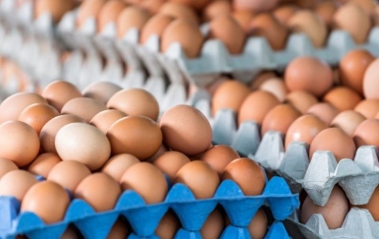 Цените на храните са се увеличили значително през 2022 г