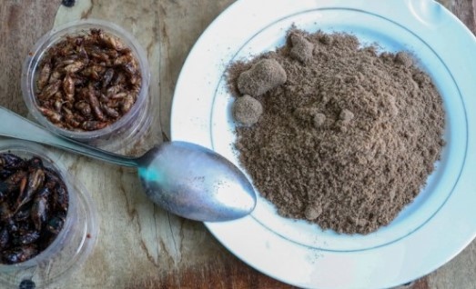 Последните няколко месеца в социалните мрежи се появиха огромен брой