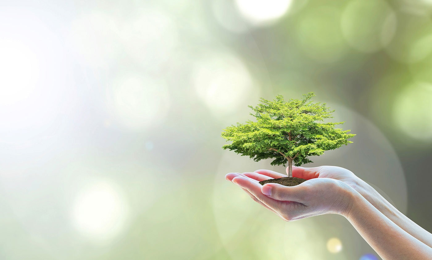 Само за 13 държави и територии в света може да