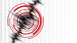 Земетресение с магнитуд 4 6 по Рихтер беше регистрирано днес в