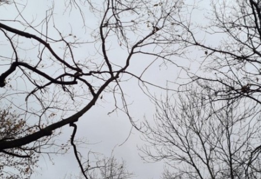 Днес облачността ще бъде значителна но от запад валежите ще