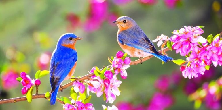 Пролетта дойде с дъжд и понижение на температурите На фона