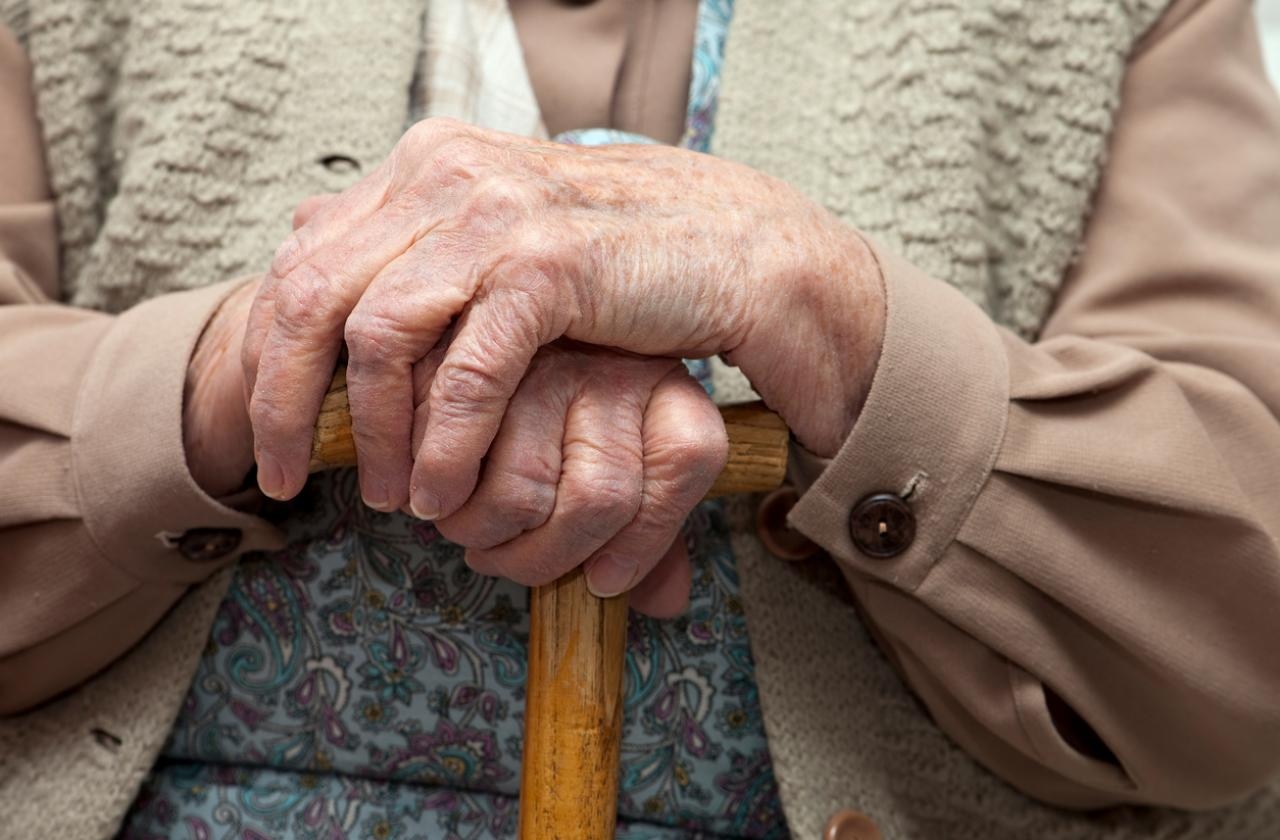Бум на новите пенсионери у нас Новоотпуснатите пенсии изравниха 5 годишен