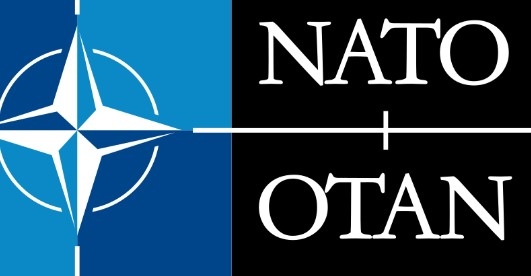 Малко над 50 от българите не искат да защитят съюзник