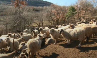 Българската агенция за безопасност на храните ще издаде днес заповед