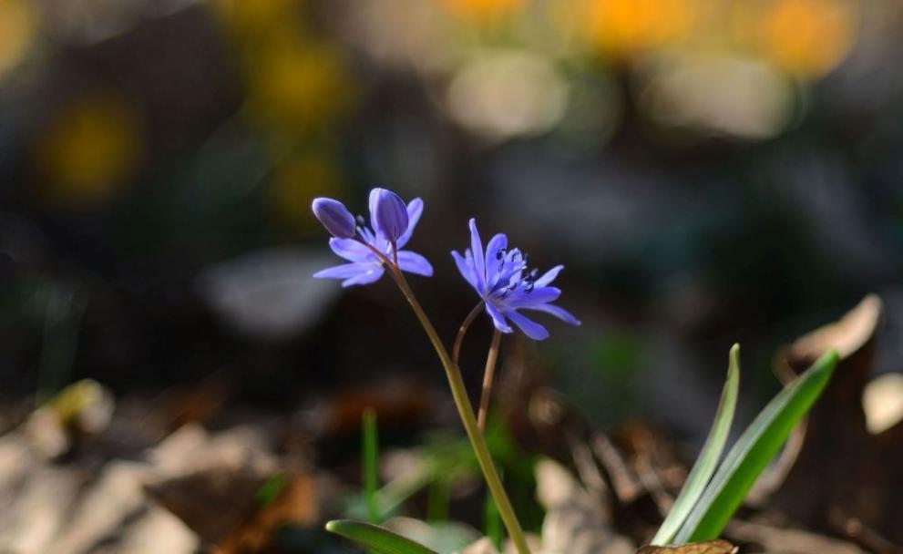 През почивните дни 1 и 2 април времето ще
