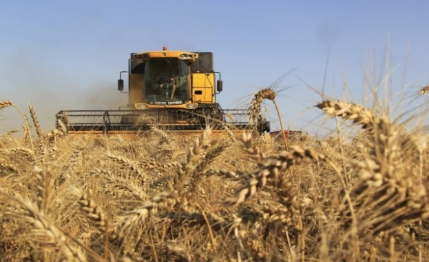 Всветовен мащаб търсенето и предлагането на зърно са останали сравнително
