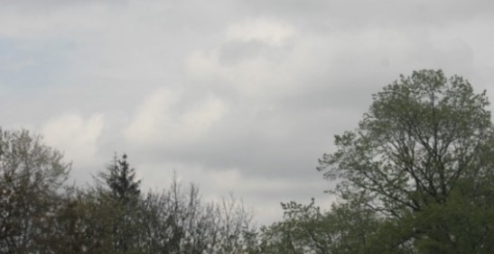 Днес времето ще се задържи облачно в равнините и мъгливо