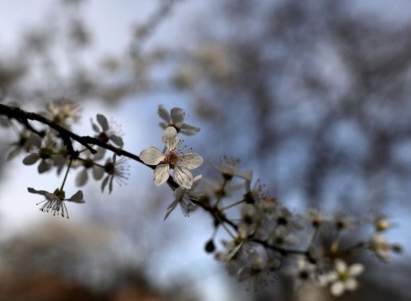 Днес от запад облачността ще се увеличава и ще е