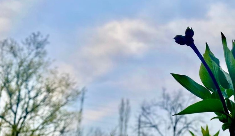 Днес ще преобладава облачно време На много места в западната