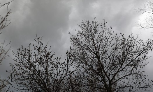 Днес ще бъде ветровито с умерен и силен вятър от