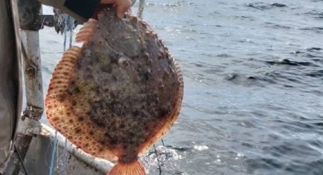 От 15 април 2023 г със заповед на министъра на