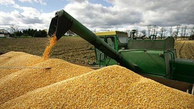 Полските и унгарските власти решиха временно да забранят и редица други