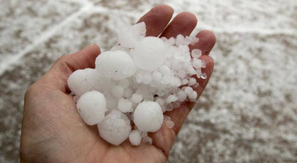 Жестока градушка навръх Великден се изсипа над в област Силистра Посевите