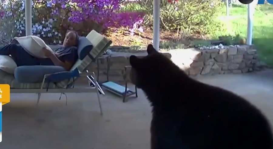 Неочакван посетител влезе в дома на жител на Северна Каролина