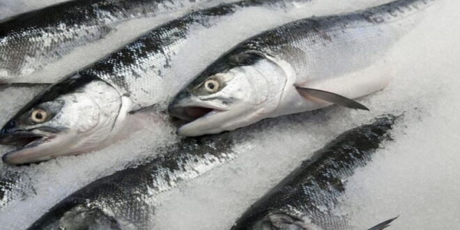 Израелската компания Stakeholder Foods специализирана в производството на изкуствено месо