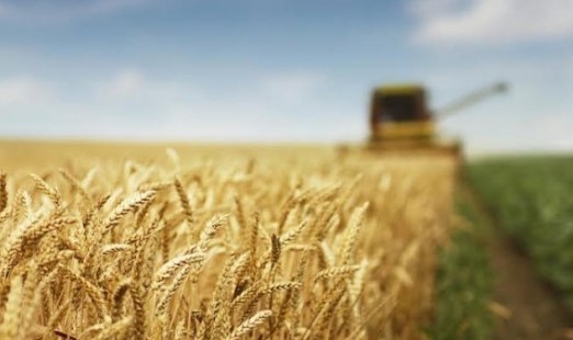 Забраната за внос на зърно, слънчоглед и други храни от