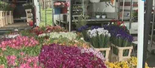 Започва преместването на търговците на едро на цветя от пазара