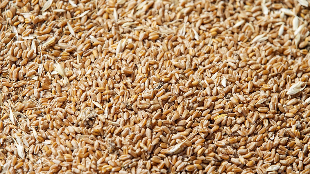 Министрите на земеделието на страните членки и вчера не стигнаха до