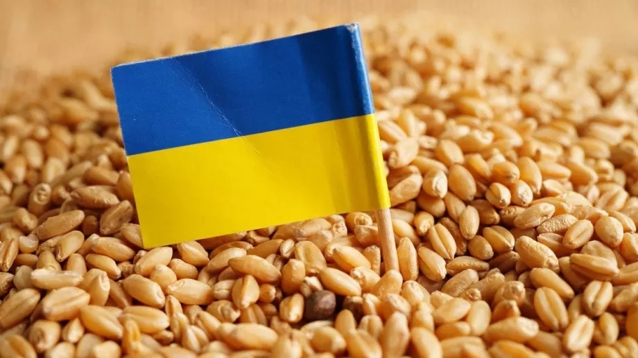 Забраните за внос на ключови селскостопански продукти търсени от страните