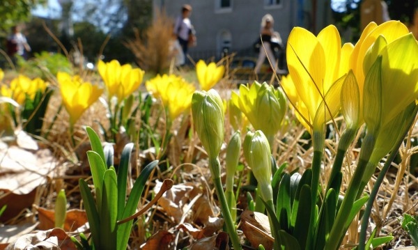 През следващото денонощие от запад облачността ще се увеличава отначало