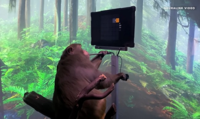 Чипове в мозъка ще помагат на слепи хора да прогледнат