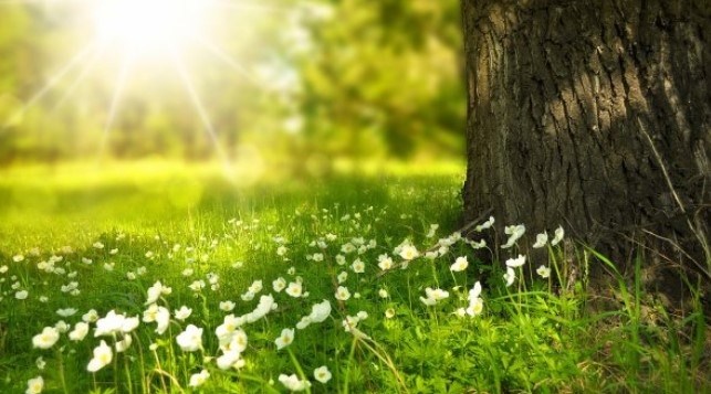 Днес преди обяд в по голямата част от страната ще е