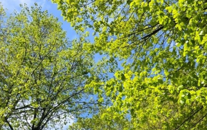 Днес ще бъде предимно слънчево Около и след обяд ще