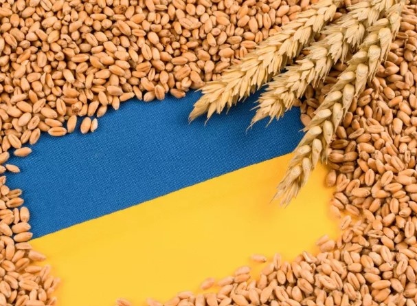 12 държави от ЕС сред които Германия Франция Нидерландия и