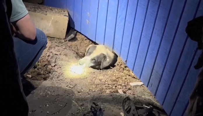 Новинарски екип на телевизия ABC News изпратен да отразява последиците от