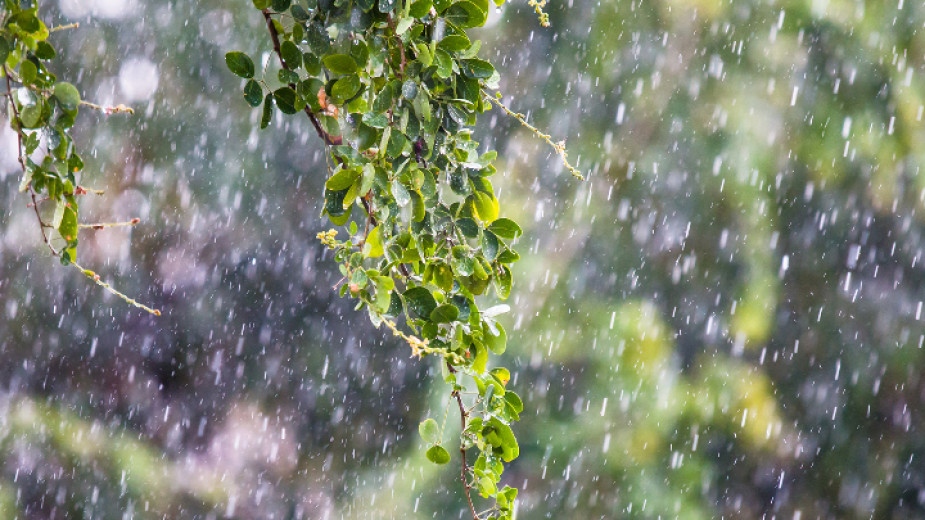 Валежите постепенно ще отслабват а на места ще спират Това съобщават