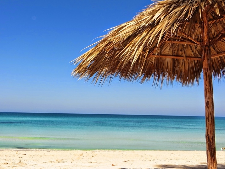 Във Варна слагат край на разходките на кучета по плажа