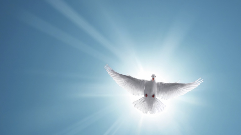 Православната църква празнува Свети Дух Празникът е свързан по смисъл с