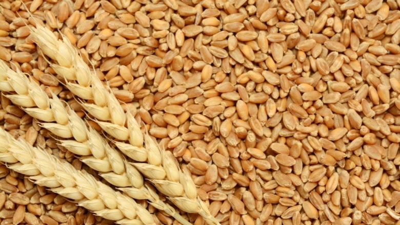 Срокът на забрана за внос на пшеница царевица рапица и
