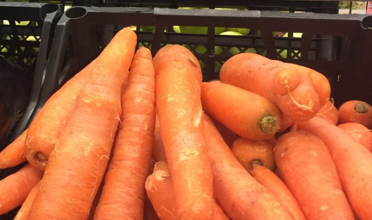 Морковите по пазарите и в магазинната мрежа поскъпват сериозно Цената