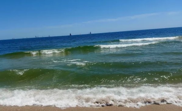 Няма опасност за туристическия сезон у нас заради инцидента с