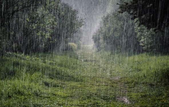 Днес ще се развива купеста и купесто дъждовна облачност Ще има