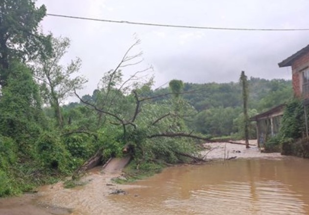 Правителството ще отпусне помощи в подкрепа на засегнатите от наводненията