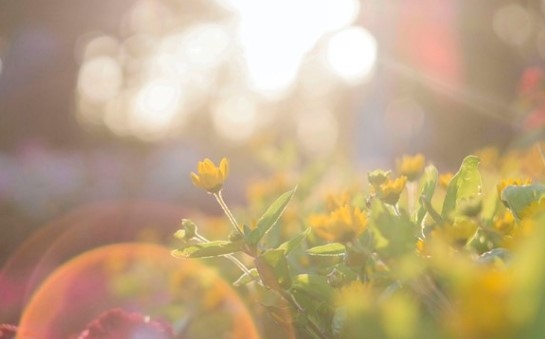 Днес ще бъде предимно слънчево в следобедните часове над Източна