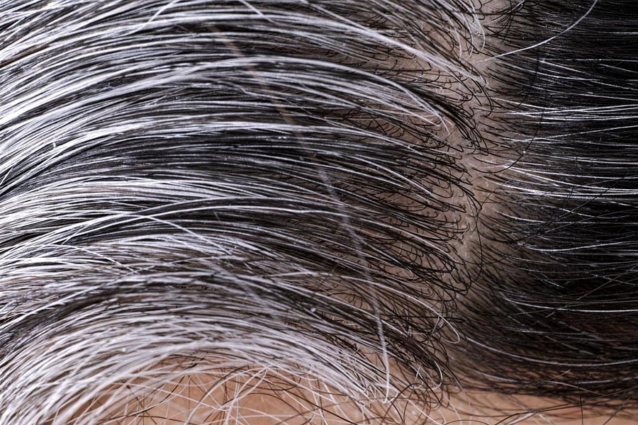 Консумацията на определени храни ускорява появата на сива коса предупреди