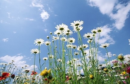 Днес ще бъде предимно слънчево Около и след обяд главно