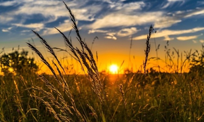 Отново силни гръмотевични бури и високи температури ще се редуват