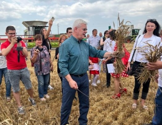 Изобилна реколта от над 6 млн тона пшеница очаква България