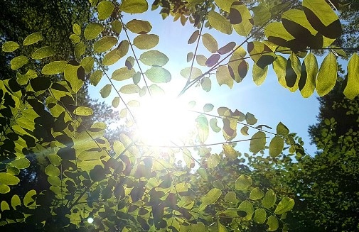 Днес ще бъде слънчево и почти тихо Дневните температури ще