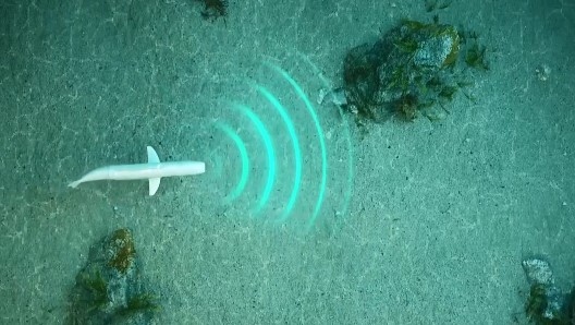 Екип от учени създаде самозадвижващ се подводен робот с вид