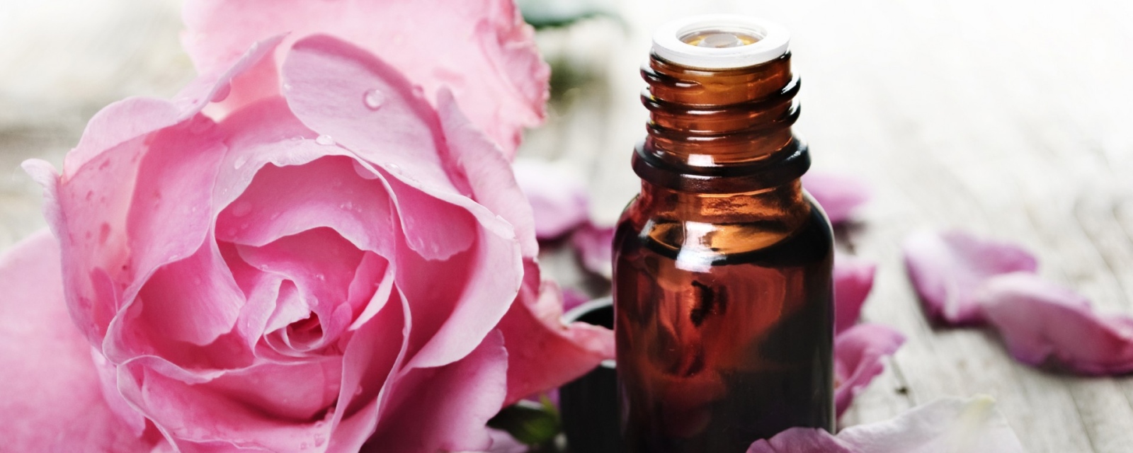 В последния ден на шведското председателство на Съвета на ЕС