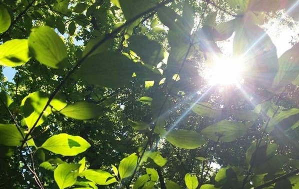 Днес в повечето райони от Западна и Източна България ще